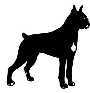 perro bxer slido